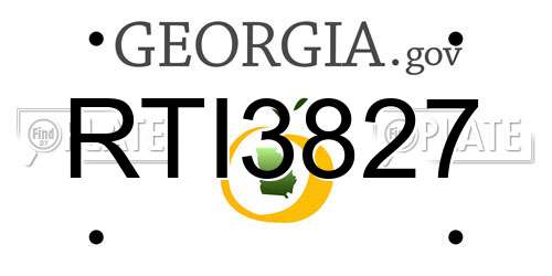 RTI3827 Georgia License Plate