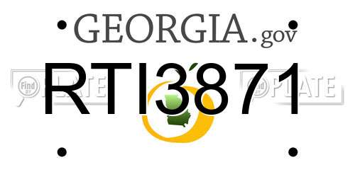 RTI3871 Georgia License Plate