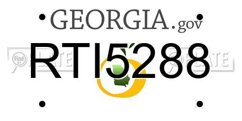 RTI5288 Georgia License Plate