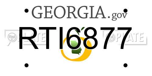 RTI6877 Georgia License Plate