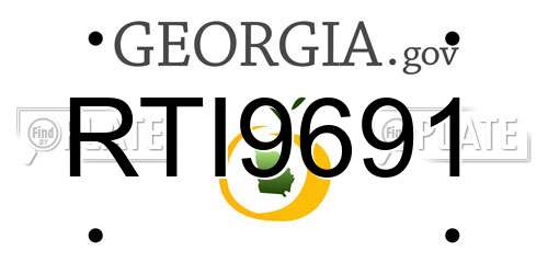 RTI9691 Georgia License Plate