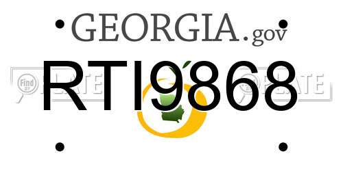 RTI9868 Georgia License Plate
