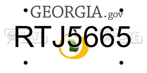 RTJ5665 Georgia License Plate