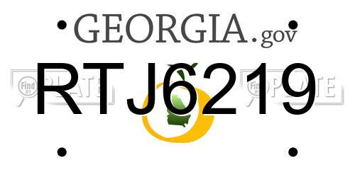 RTJ6219 Georgia License Plate
