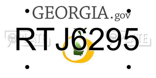RTJ6295 Georgia License Plate