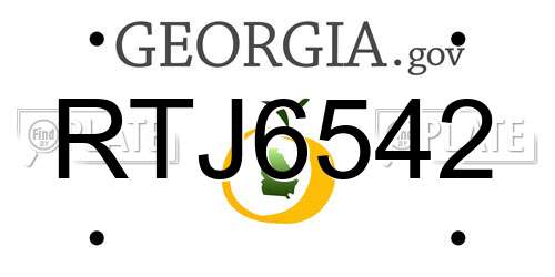 RTJ6542 Georgia License Plate