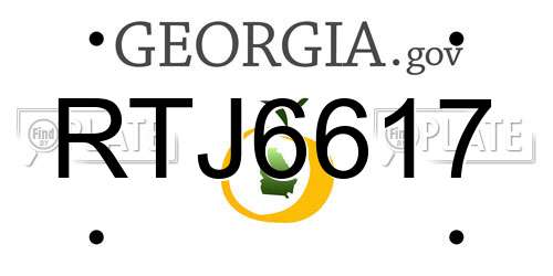 RTJ6617 Georgia License Plate