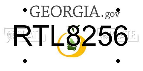 RTL8256 Georgia License Plate