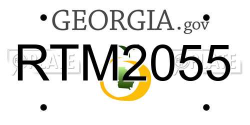 RTM2055 Georgia License Plate