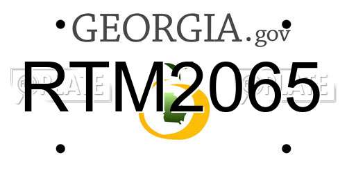 RTM2065 Georgia License Plate