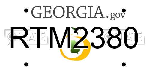 RTM2380 Georgia License Plate