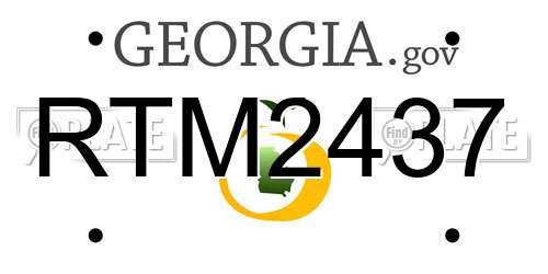 RTM2437 Georgia License Plate