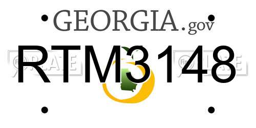 RTM3148 Georgia License Plate