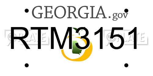 RTM3151 Georgia License Plate