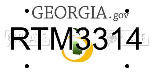RTM3314 Georgia License Plate