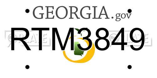 RTM3849 Georgia License Plate
