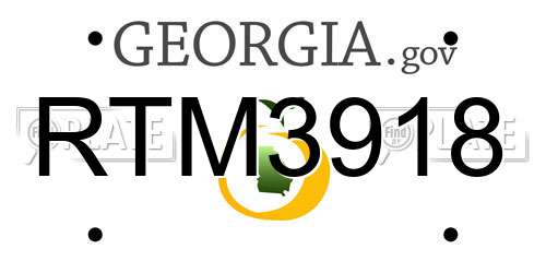 RTM3918 Georgia License Plate