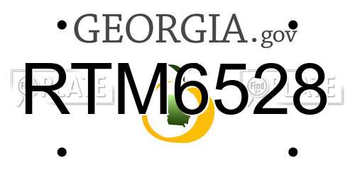 RTM6528 Georgia License Plate