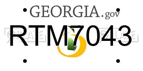 RTM7043 Georgia License Plate