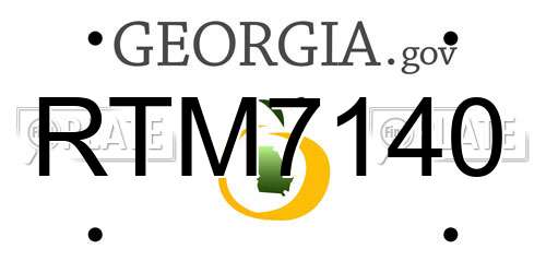 RTM7140 Georgia License Plate