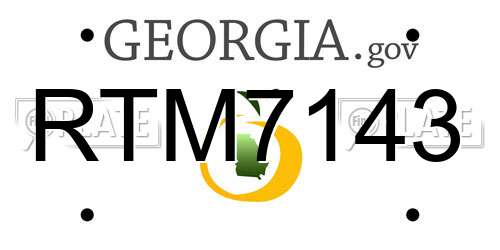 RTM7143 Georgia License Plate