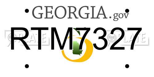 RTM7327 Georgia License Plate