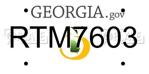 RTM7603 Georgia License Plate