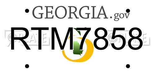 RTM7858 Georgia License Plate