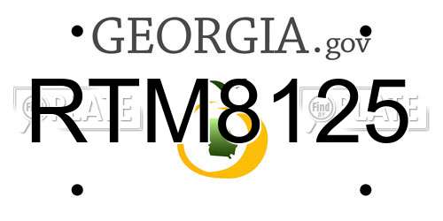 RTM8125 Georgia License Plate