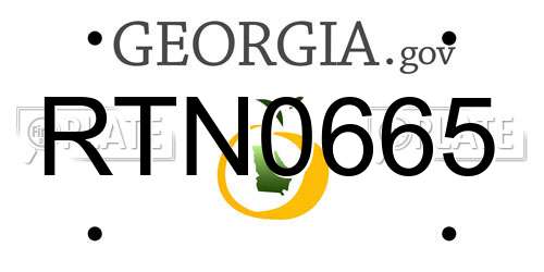 RTN0665 Georgia License Plate