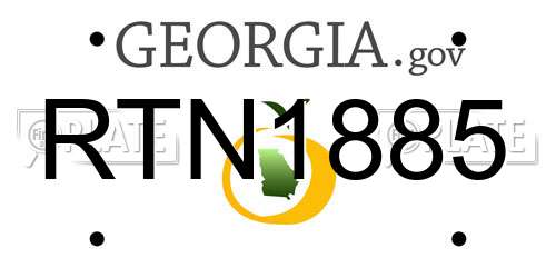 RTN1885 Georgia License Plate
