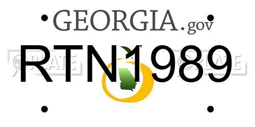 RTN1989 Georgia License Plate