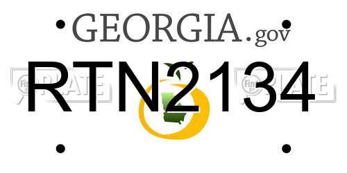 RTN2134 Georgia License Plate
