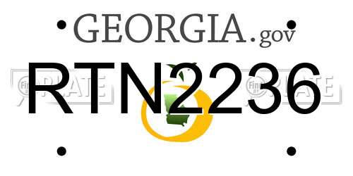 RTN2236 Georgia License Plate