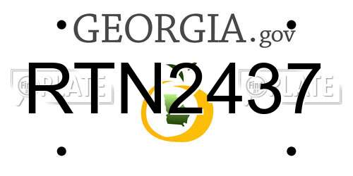 RTN2437 Georgia License Plate