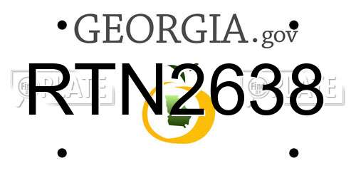 RTN2638 Georgia License Plate