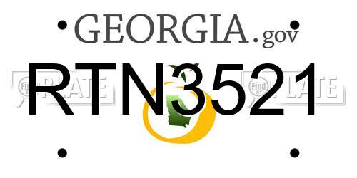 RTN3521 Georgia License Plate