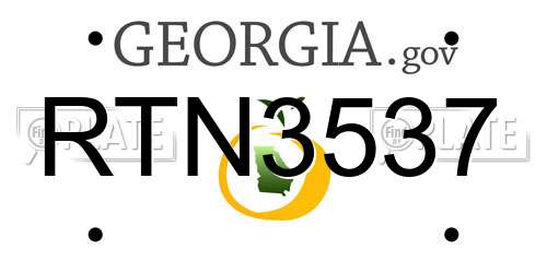 RTN3537 Georgia License Plate