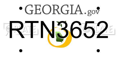RTN3652 Georgia License Plate