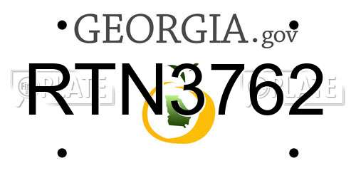 RTN3762 Georgia License Plate