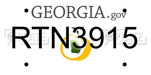 RTN3915 Georgia License Plate