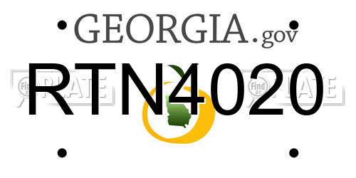 RTN4020 Georgia License Plate