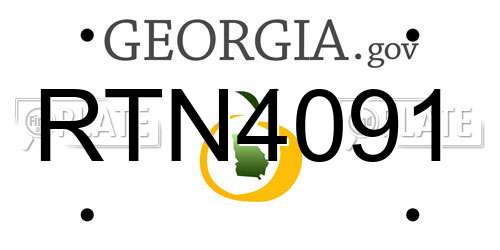 RTN4091 Georgia License Plate