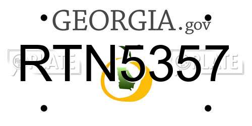 RTN5357 Georgia License Plate
