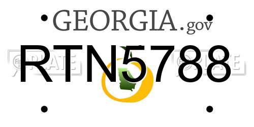 RTN5788 Georgia License Plate