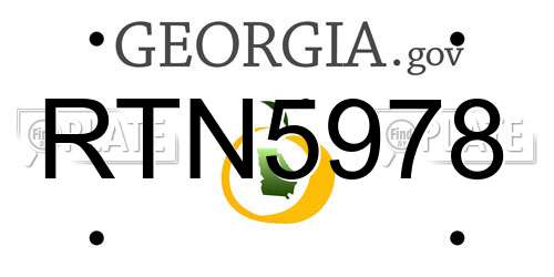 RTN5978 Georgia License Plate