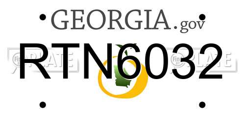 RTN6032 Georgia License Plate