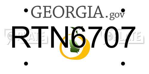 RTN6707 Georgia License Plate