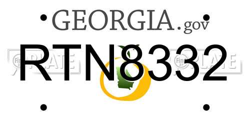 RTN8332 Georgia License Plate