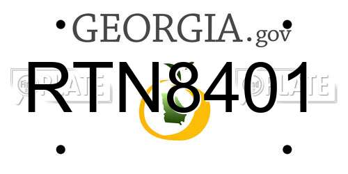 RTN8401 Georgia License Plate